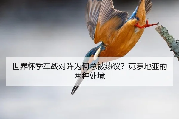 世界杯季军战对阵为何总被热议？克罗地亚的两种处境